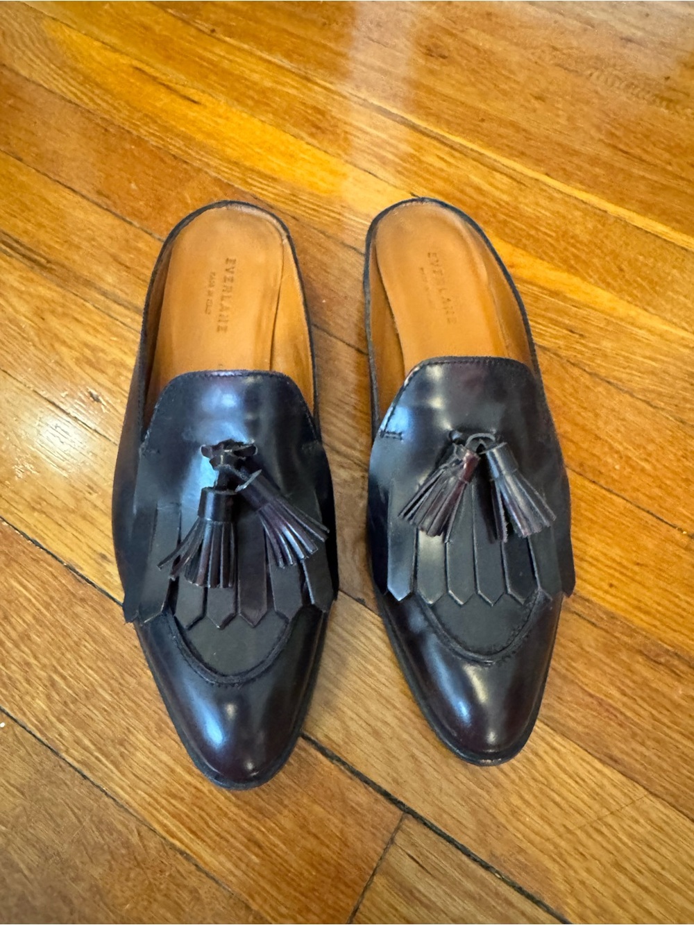 Everlane Women’s Tassel Loafer Mule — Dark Brown Leather